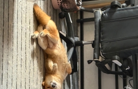 这是在。。