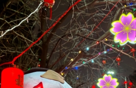 家有fu子真可爱