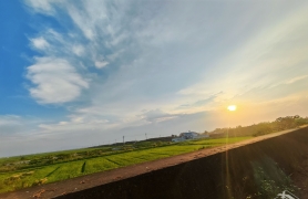 看看这天 针不戳