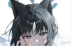 COD1-14合集，3是模拟器