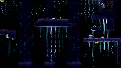 动物井 ANIMAL WELL Build.16245418 免安装...