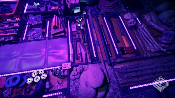 森林之子 单机+联机 v53951 赠生命值满级....