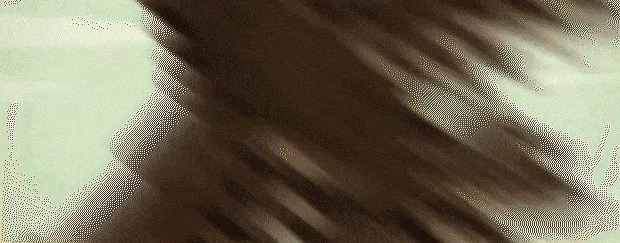 大江湖之苍龙与白鸟/TWOKF v1.1.4.1|容量1....