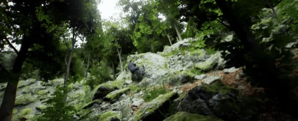 随身摄像机/Bodycam/支持网络联机 Build.16...