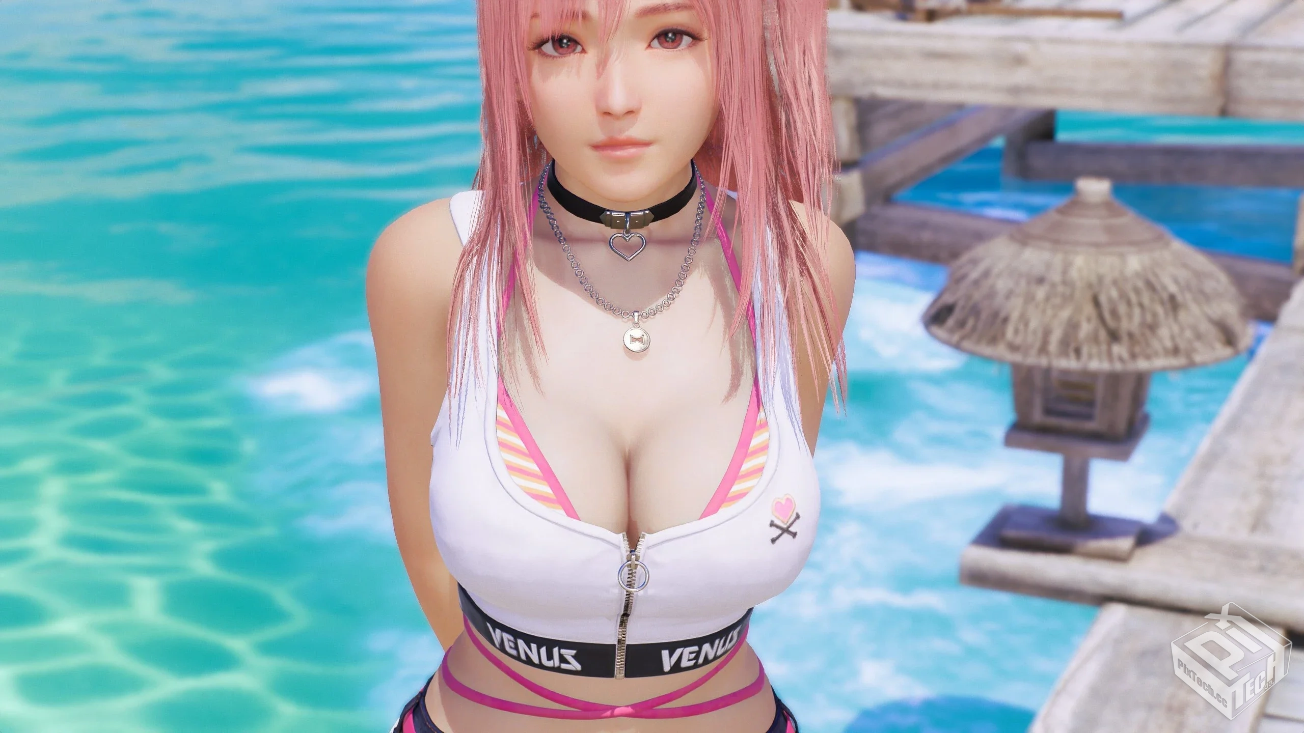 【死或生 维纳斯璀璨假期】全DLC 官方中文 ...