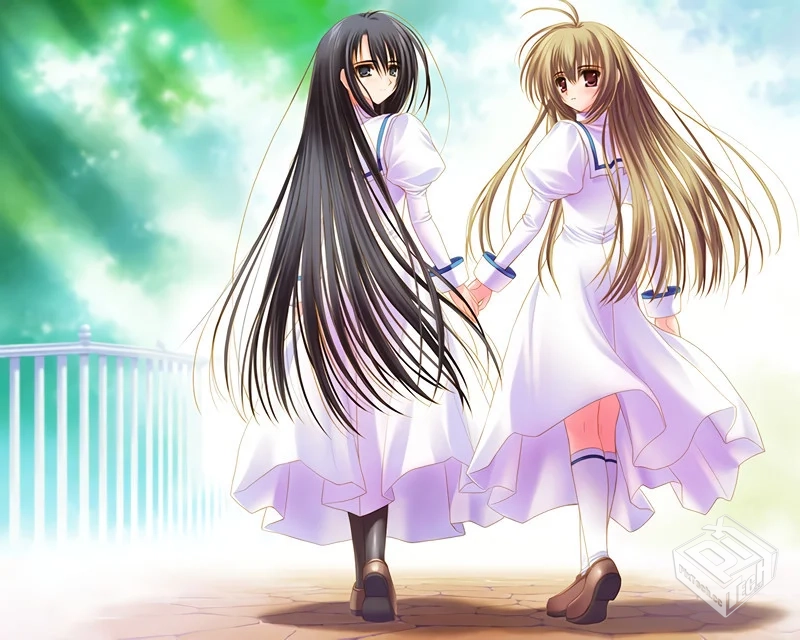 资源重发～少女爱上姐姐资源集合档...