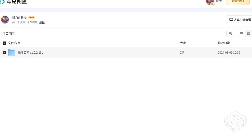 脑叶公司 v1.0.2.13cv1.2中文版【10GB】...