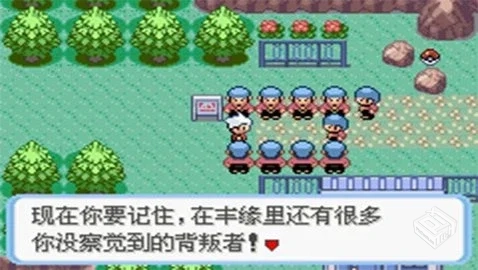 宝可梦：蛇纹木 重制版