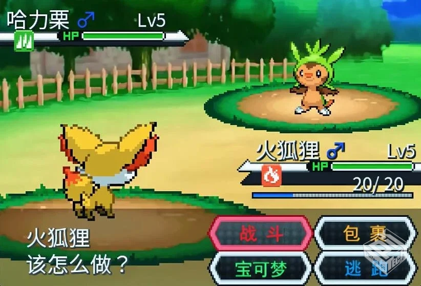 宝可梦：Z v1.55