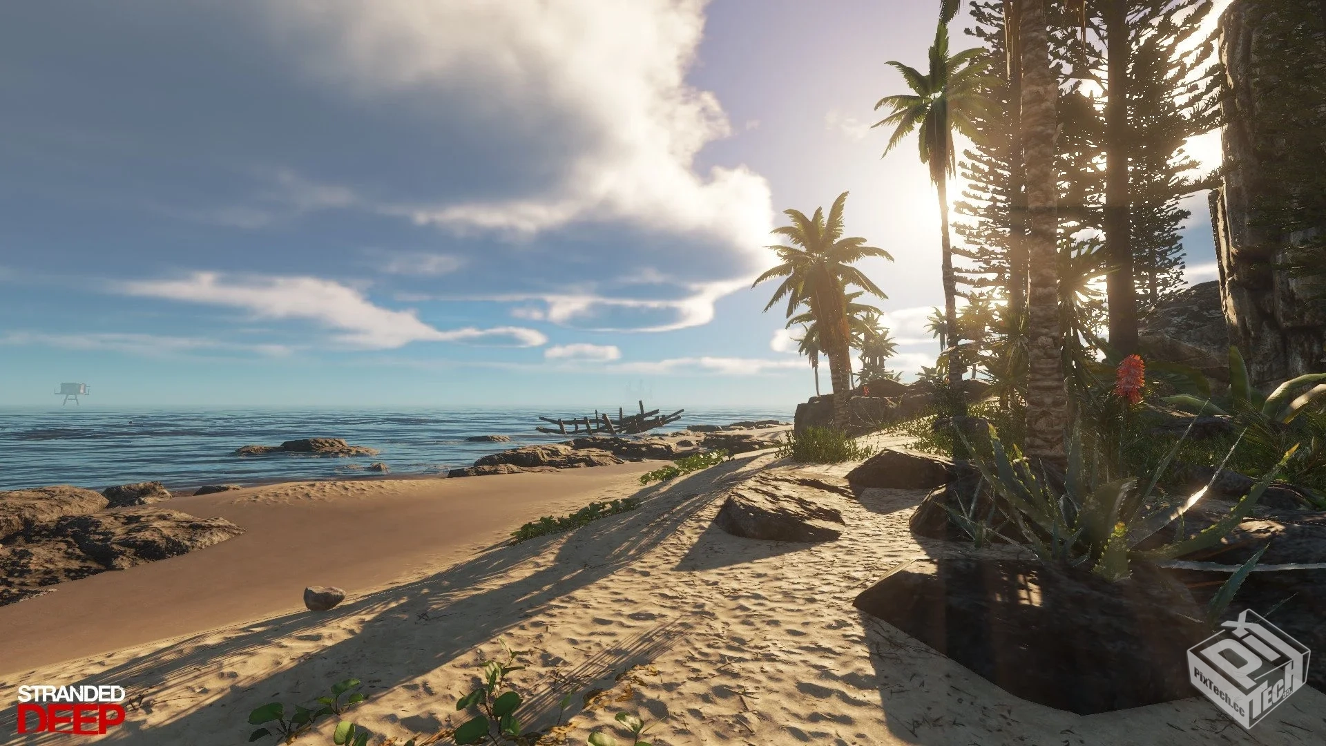 荒岛求生 v1.0.3【2.2 GB】