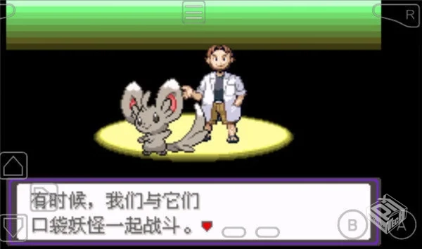 【中文】口袋妖怪-漆黑的魅影 5.0EX 无尽混...