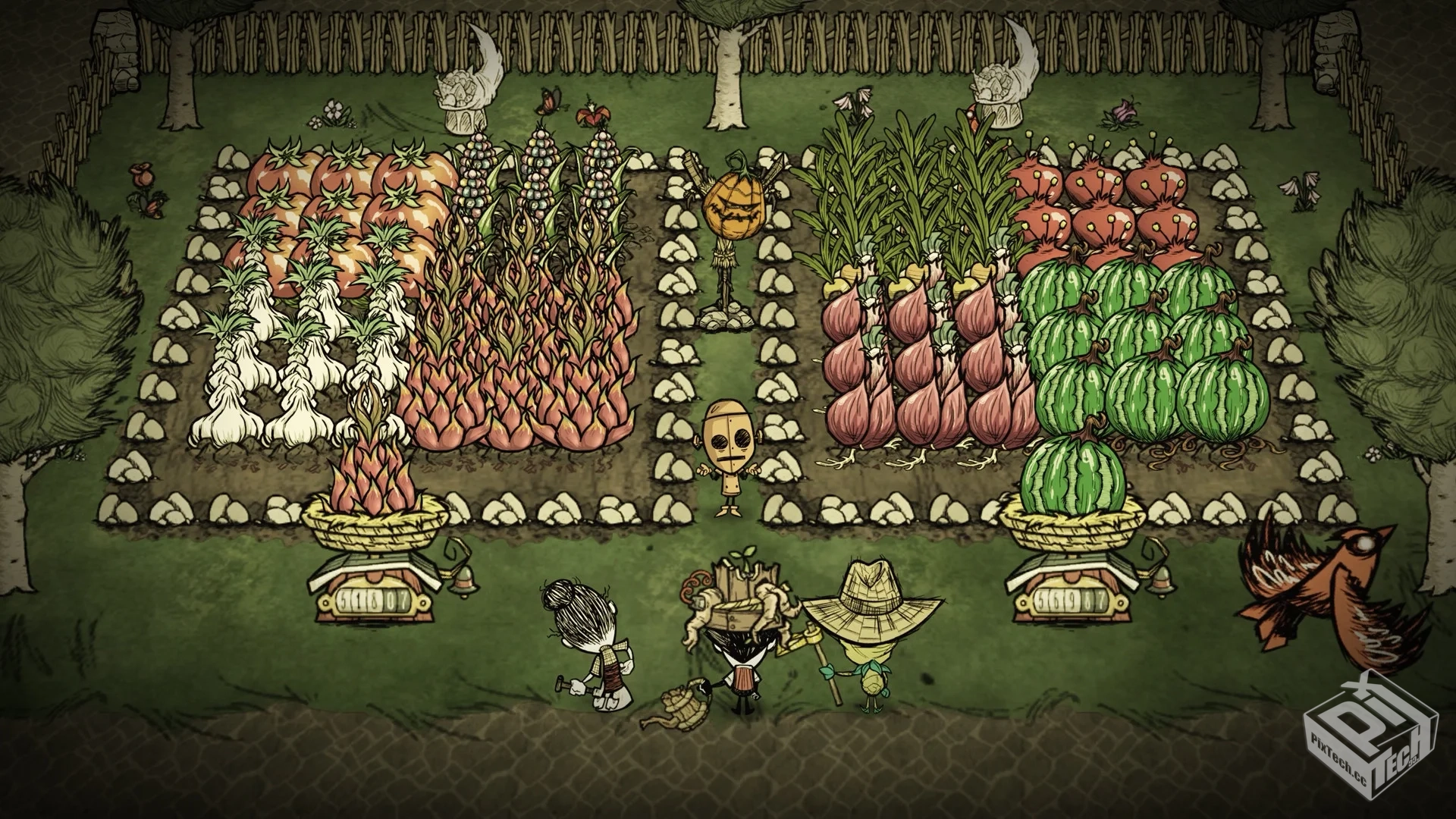 饥荒：海滩 巨人国（模组好玩点，详情请看...