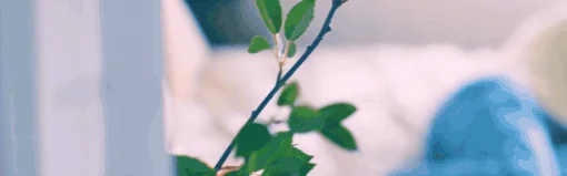 禁止过分投入/Love Too Easily Build.12000...