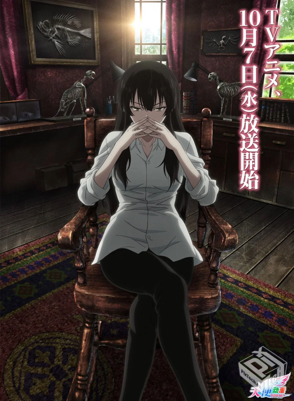 樱子小姐的脚下埋着尸体