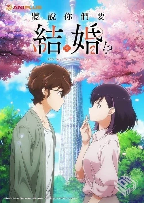 真的要结婚吗 【2024】 1080P 全集 中字内...