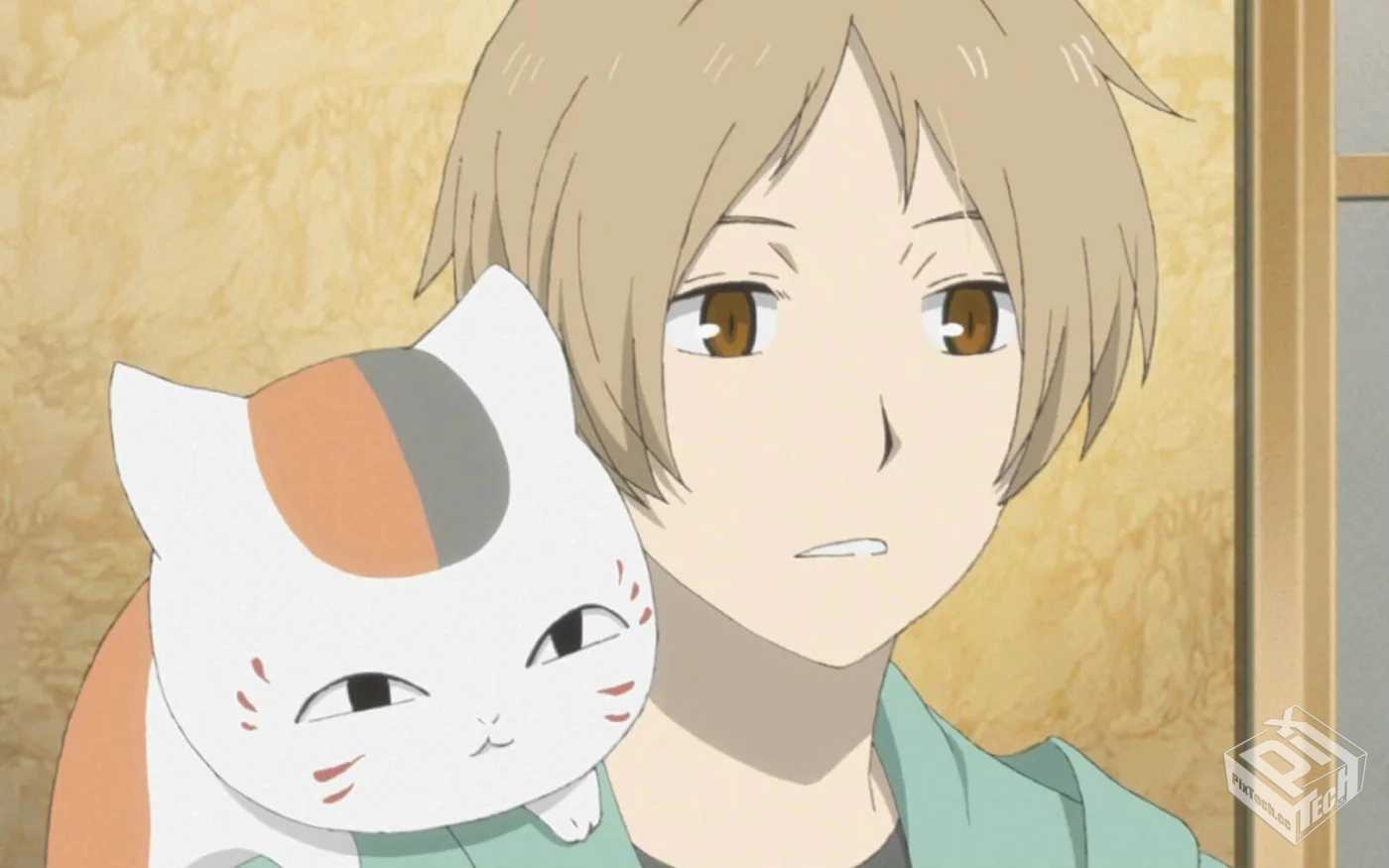 夏目友人帐第五季