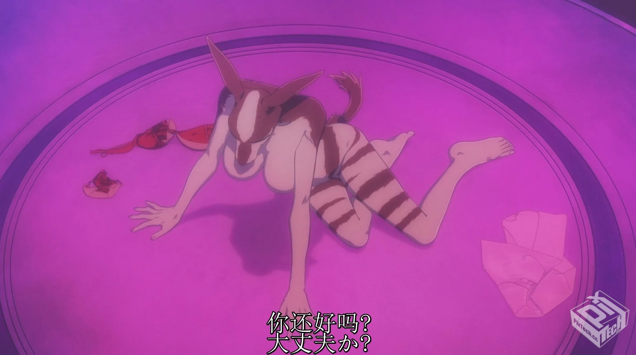 动物狂想曲 BEASTARS 【2019】 反乌托邦 人...