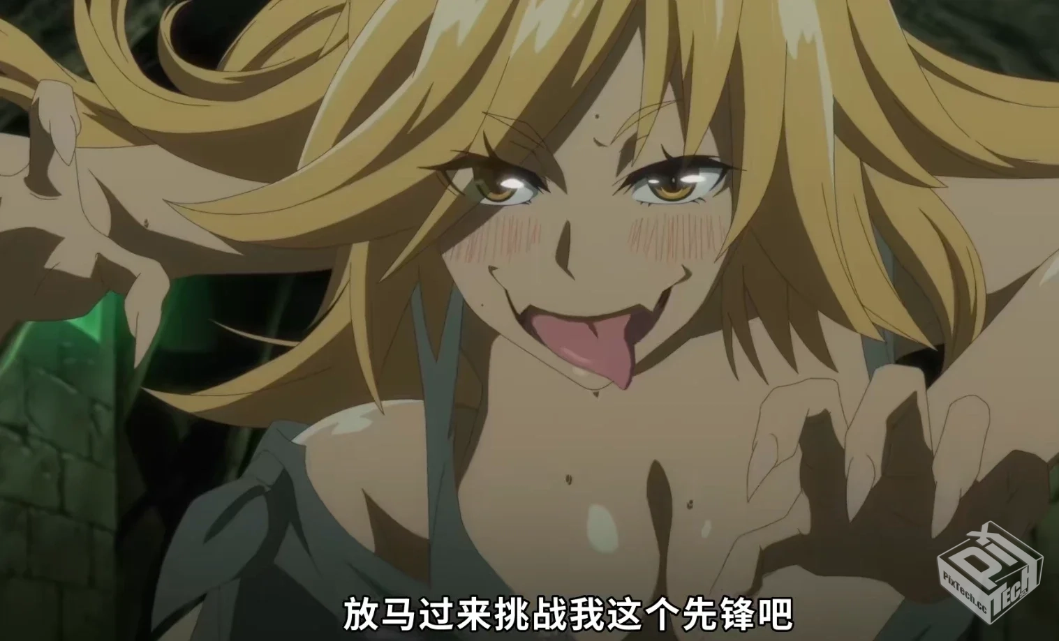 【后宫】【重生的猫骑士与精灵娘的日常】【...