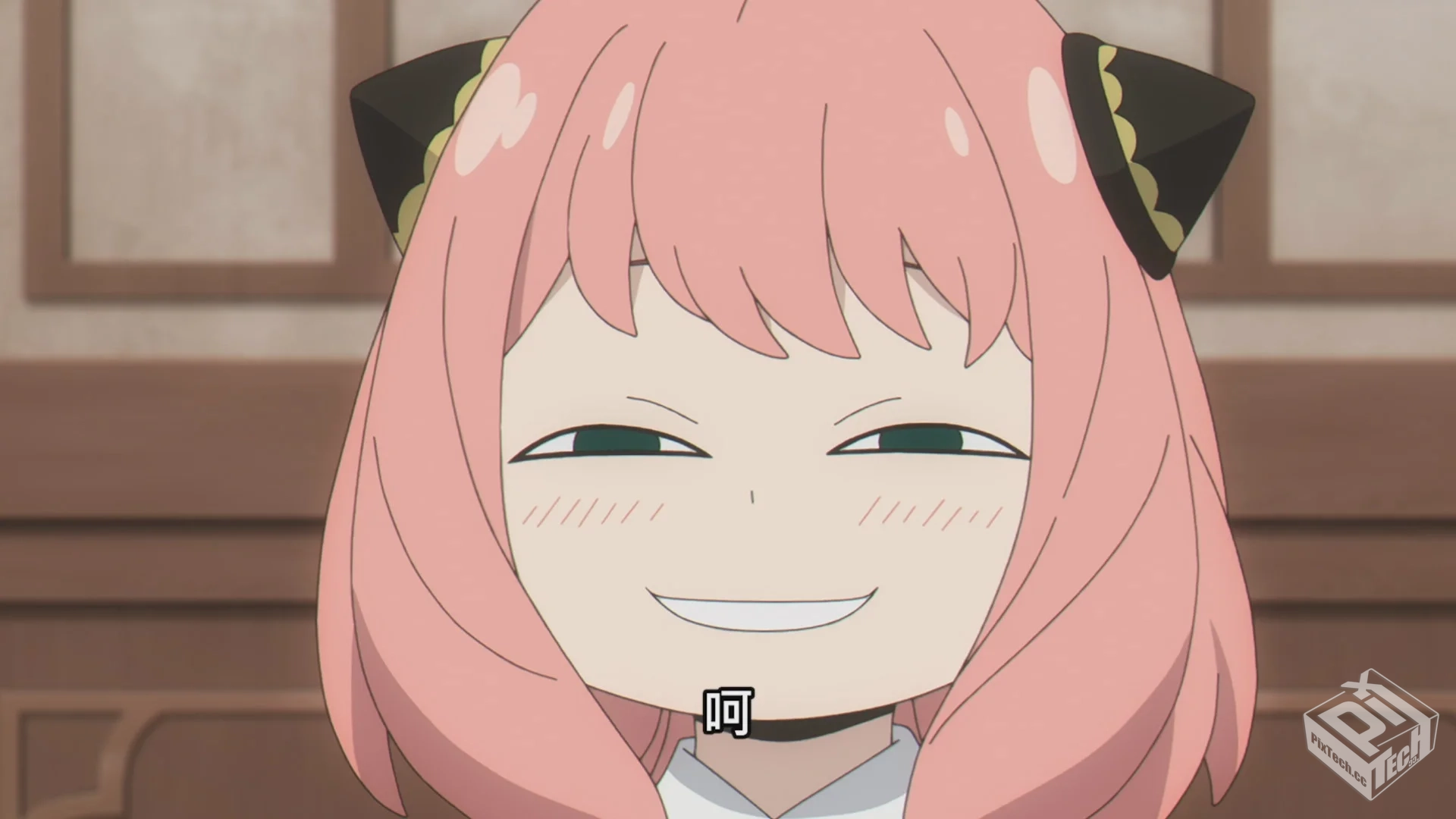 间谍过家家【2022完结四月番】