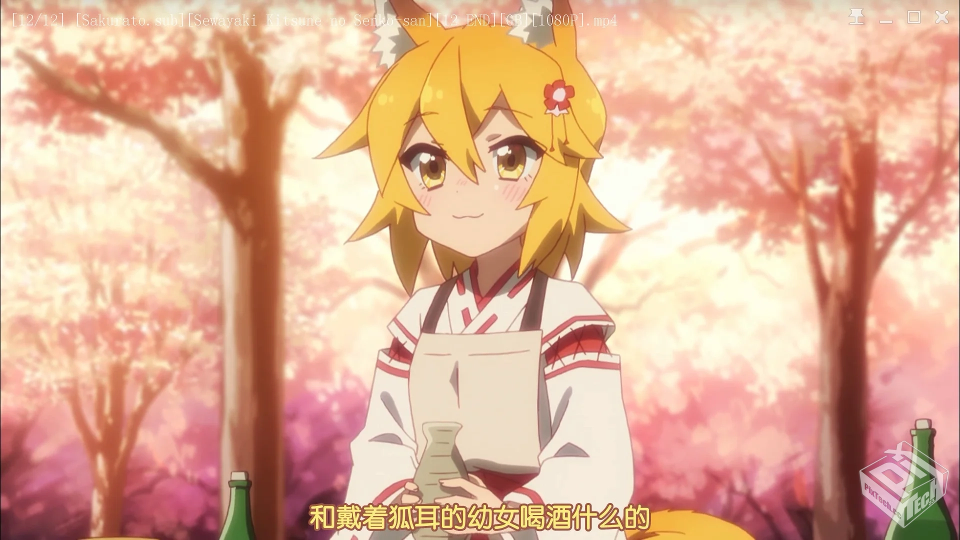 贤惠幼妻仙狐小姐 【12V 2.67GB】...