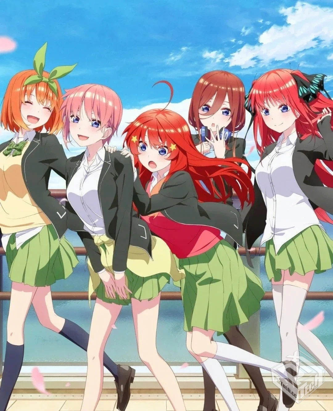 五等分的花嫁剧场版