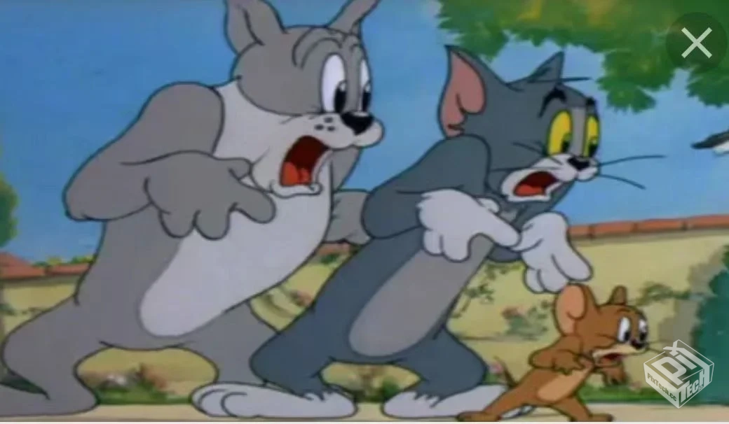猫和老鼠大合集【91.5GB】