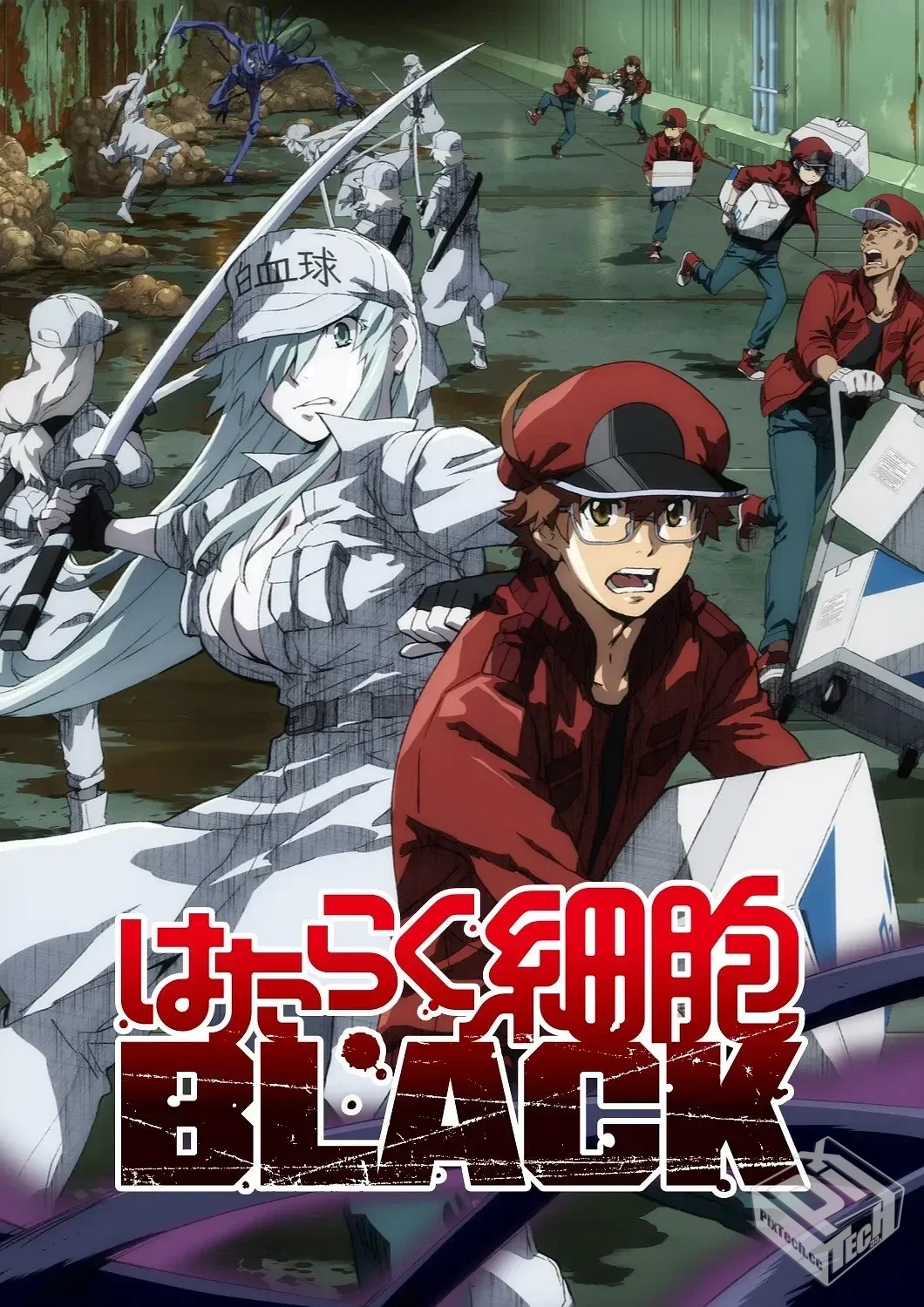 工作细胞BLACK はたらく細胞BLACK 【2021】...