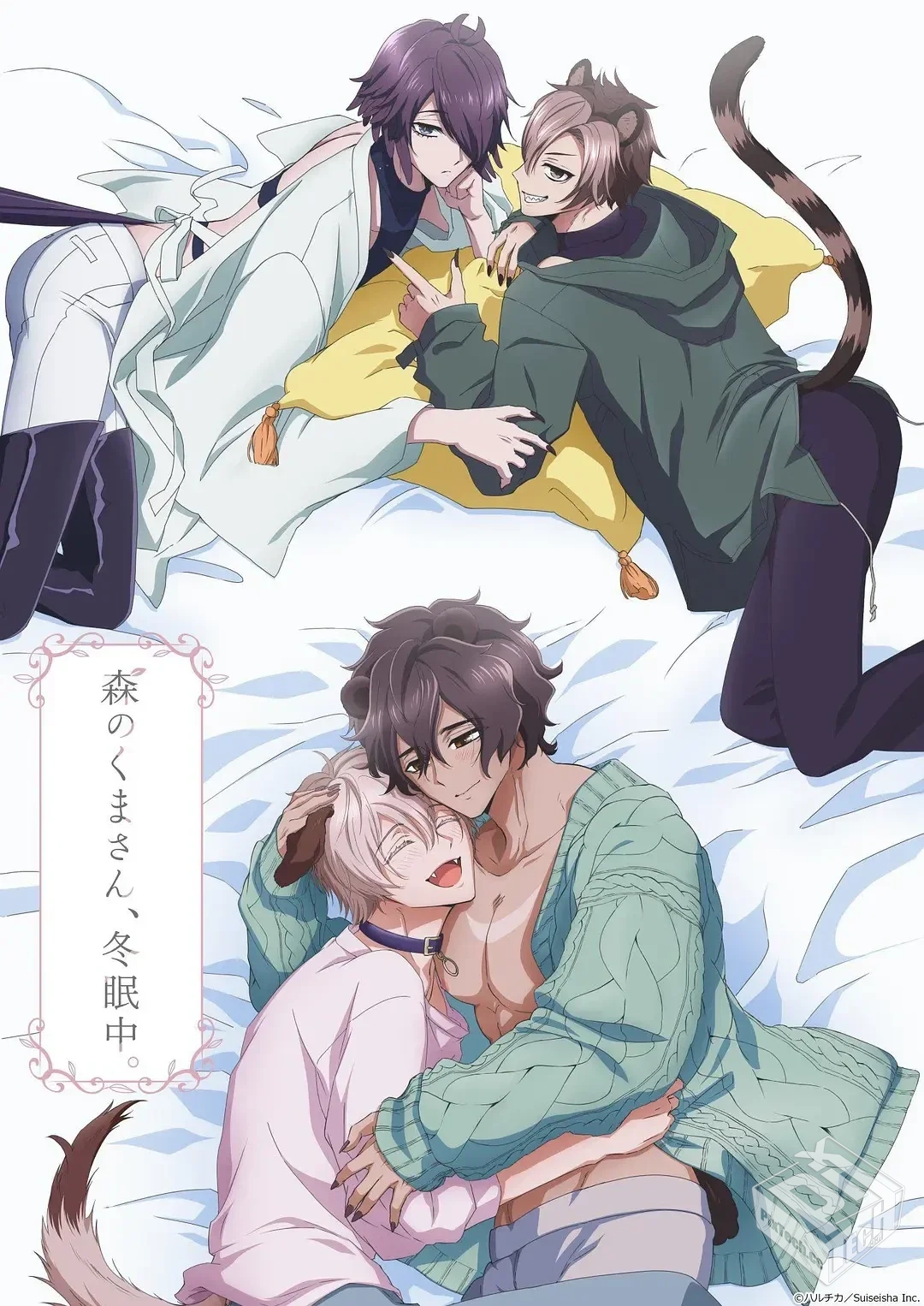 森林里的熊先生冬眠中 森のくまさん、冬眠...