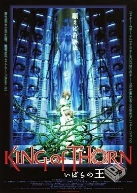 日本经典动漫【古城荆棘王】未删减版 1080P...