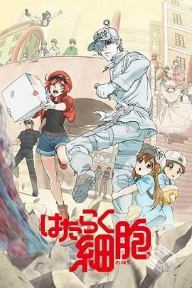 G工作细胞S01-S02季全集4K超清2160P收藏版...