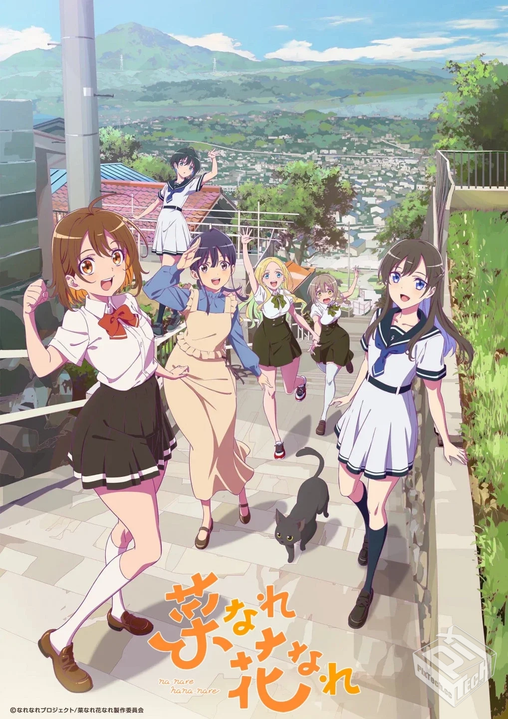 亦叶亦花/变成菜变成花【01-12集】...