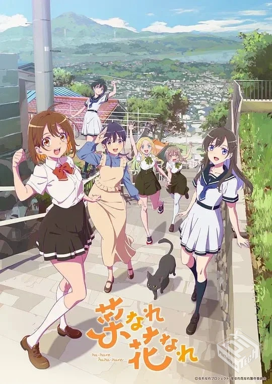 亦叶亦花 菜なれ花なれ 【2024】 12集全 10...