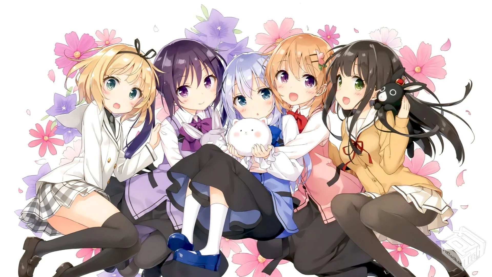 请问您今天要来点兔子吗? 【2014】 萌系治...