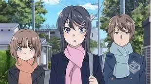 【4K】【收藏级】青春猪头少年系列 【全系...