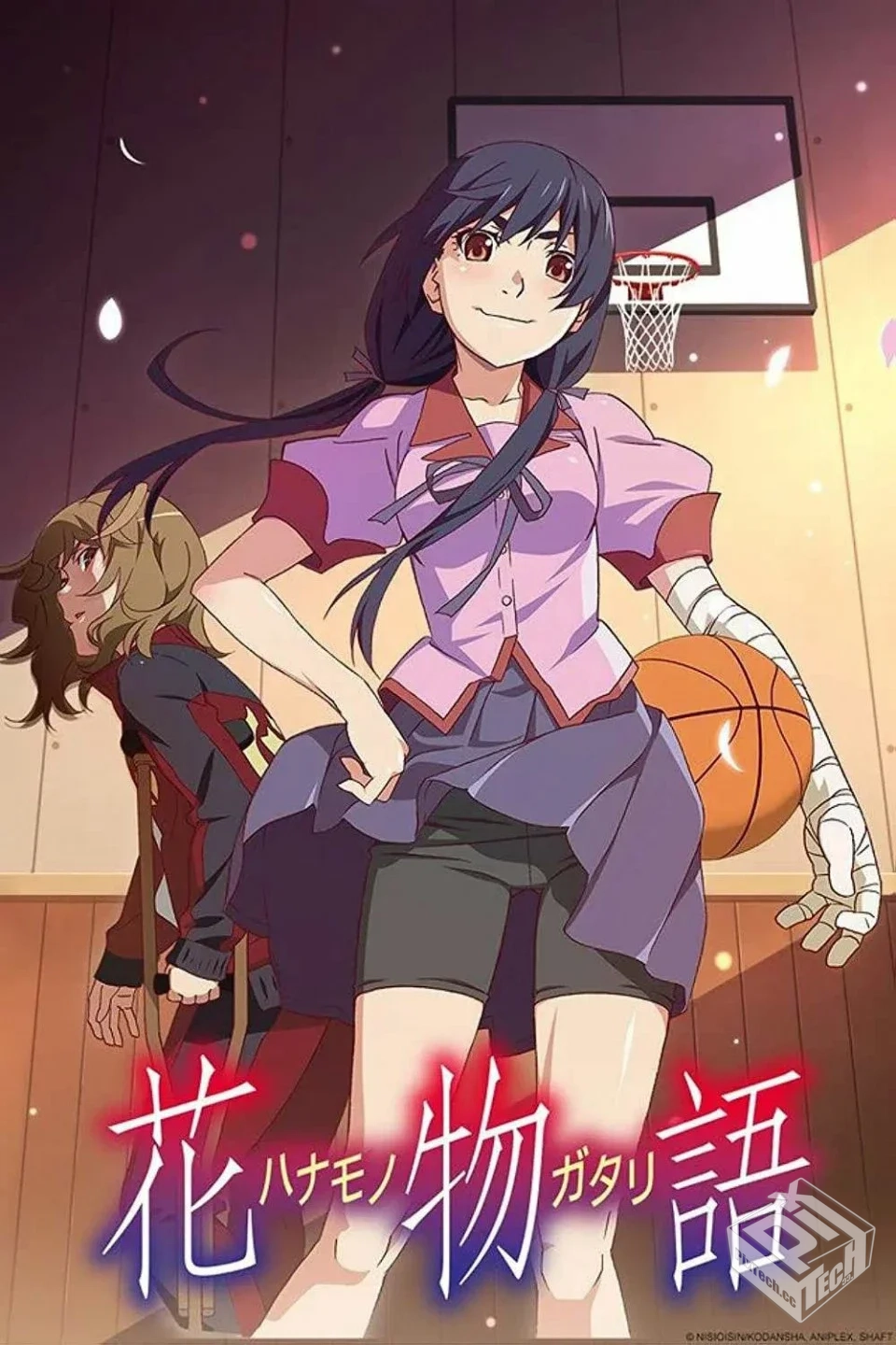 《物语系列》全系列合集 共56GB...