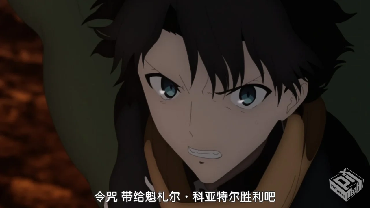 【桜都字幕组】Fate/Grand Order -绝对魔兽...