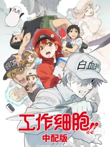 工作细胞 S1+S2全两季 1080P 简中字幕...