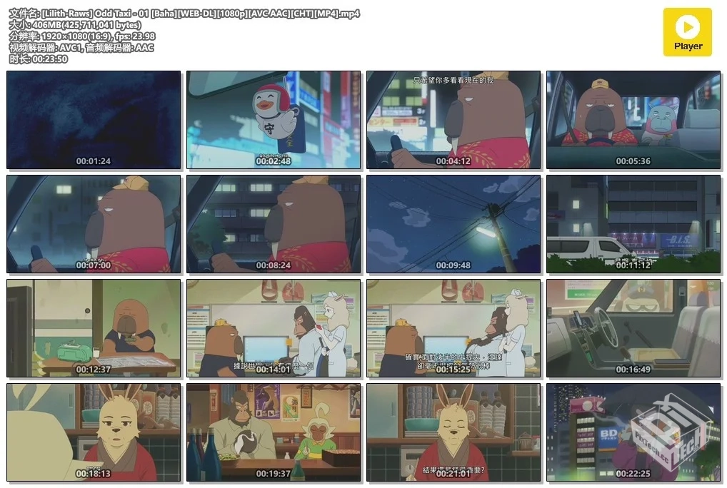 Odd Taxi 奇巧计程车(1080P)