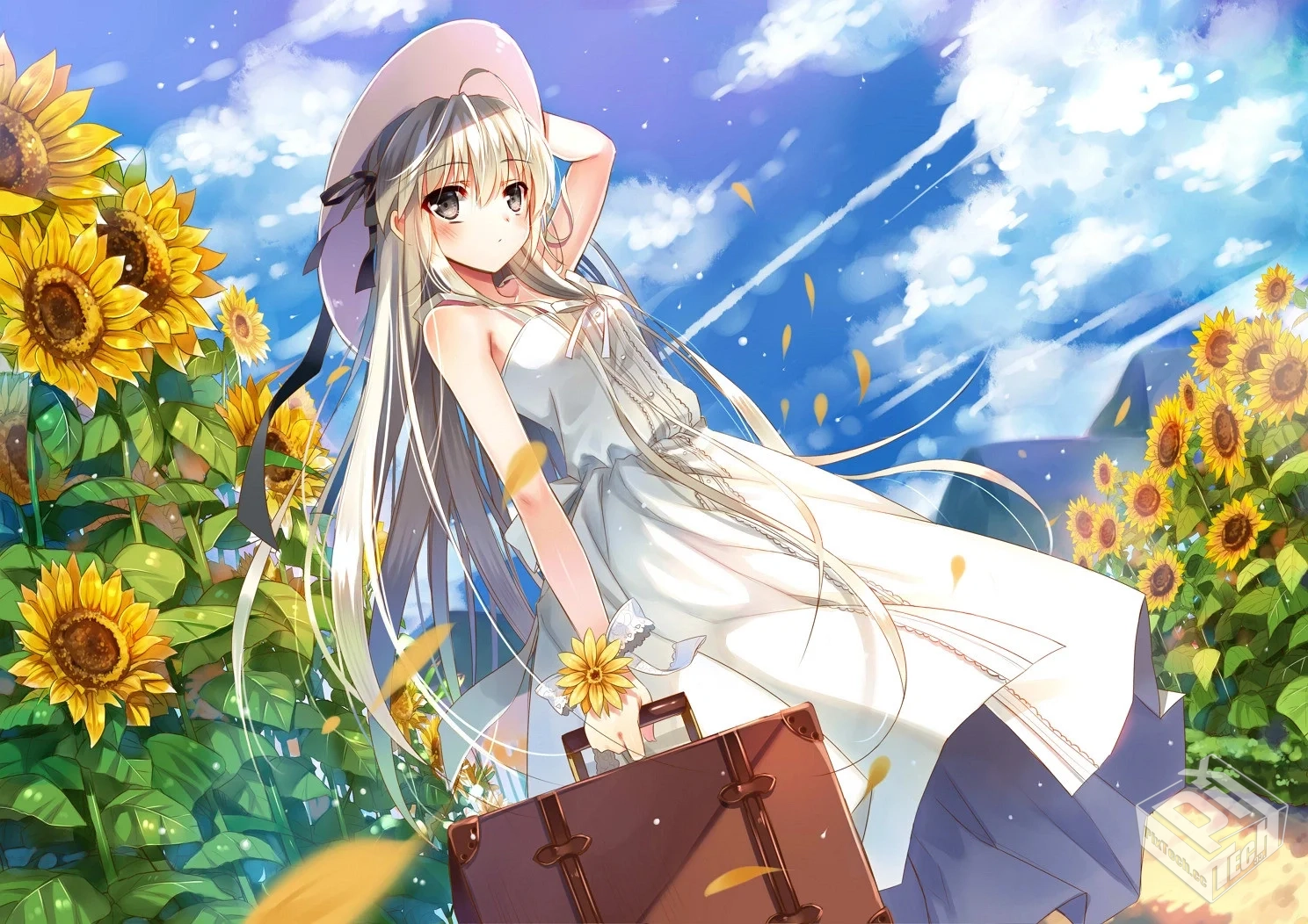 uTorrent Pro v3.5.5.46304绿色版