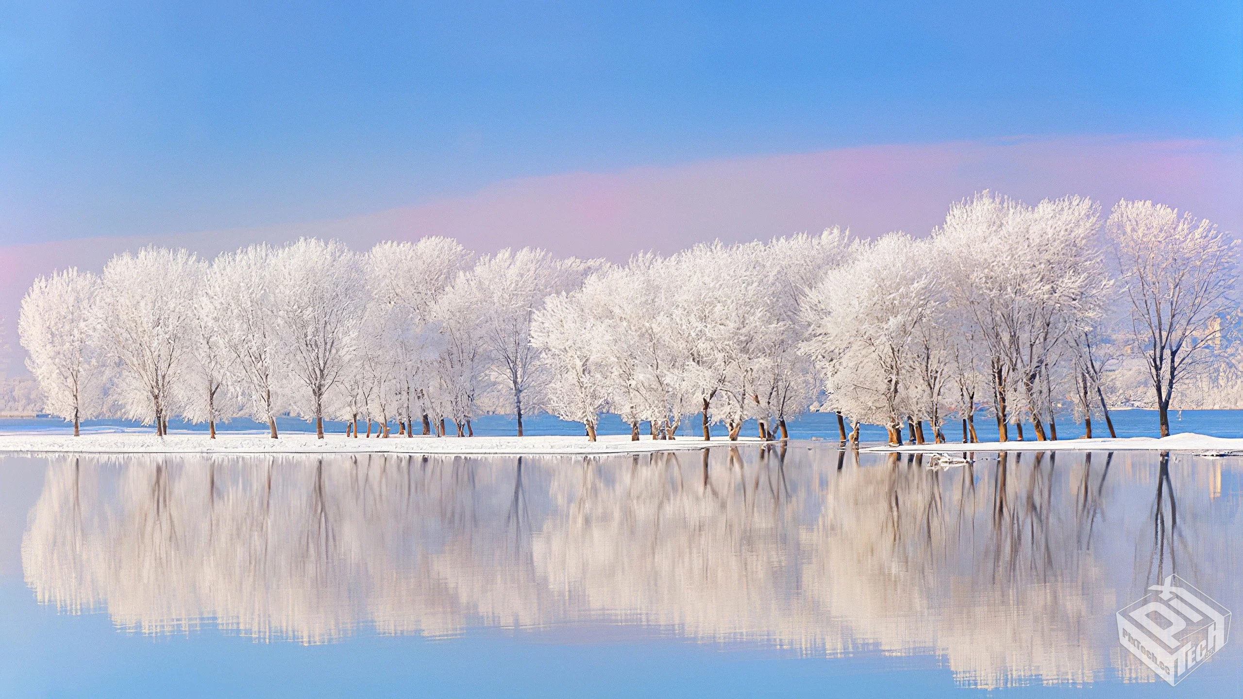 畅想之星下载器