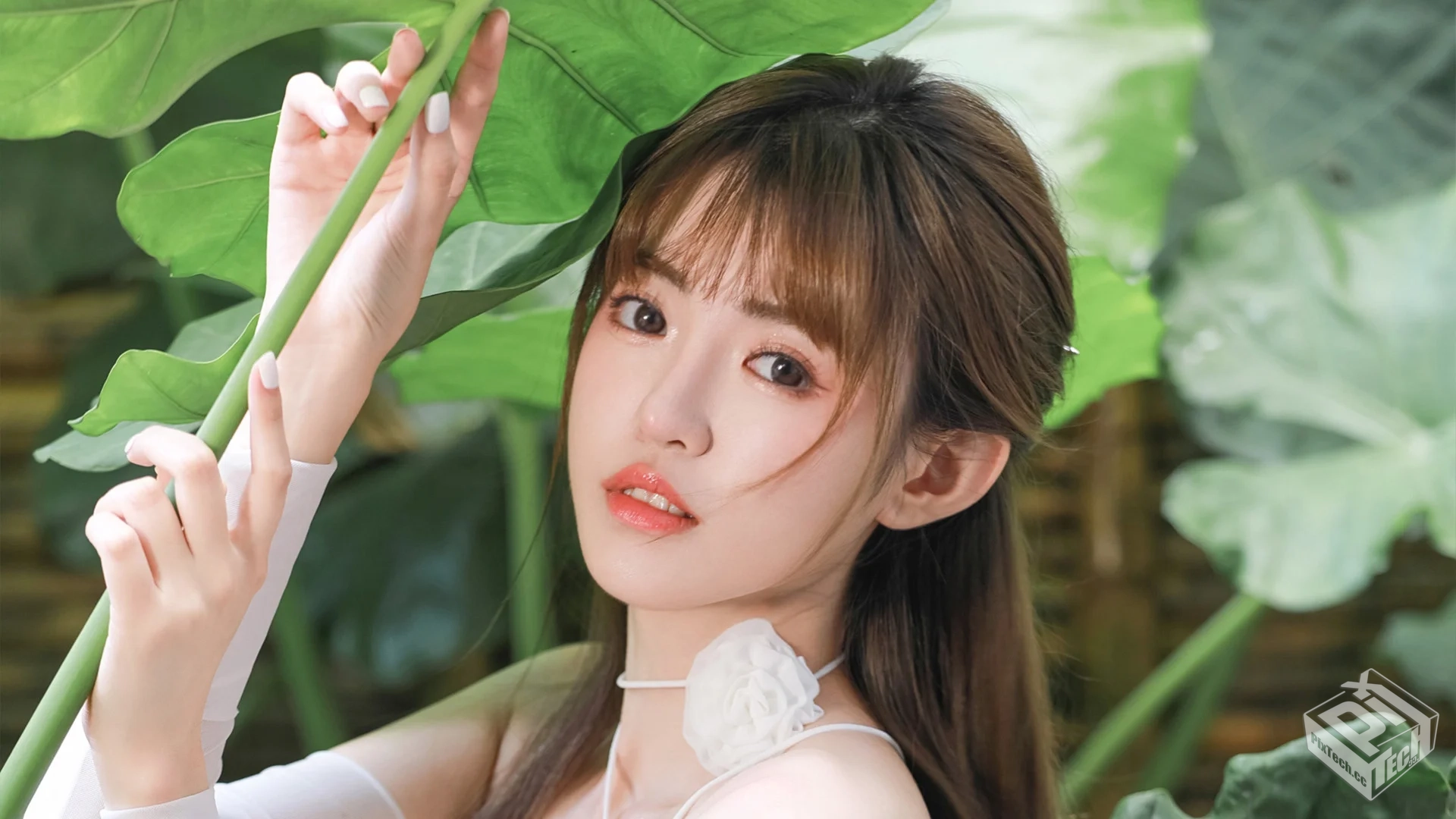 4K超级壁纸采集 包括动态壁纸