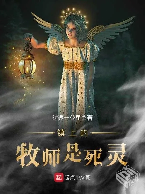 《镇上的牧师是死灵》（完结）作者：时速一...