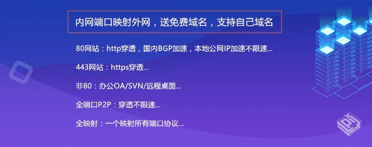 Nat123-免费内网穿透工具.端口映射软件.动...