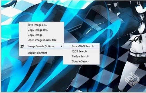 搜图之极 – Image Search Options