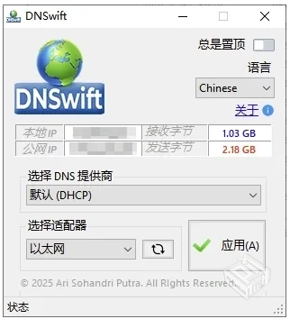 DNSwiftDNS切换工具v1.1中文版【大小：217....