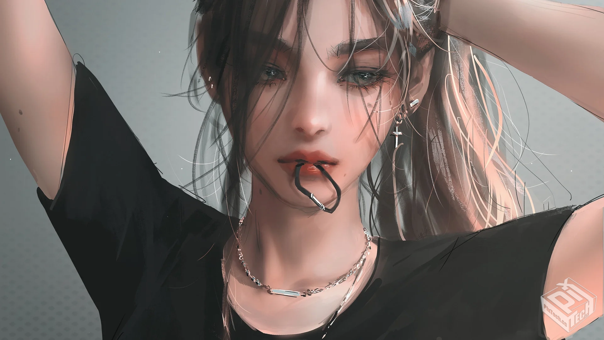 央视视频下载器 视频高清下载