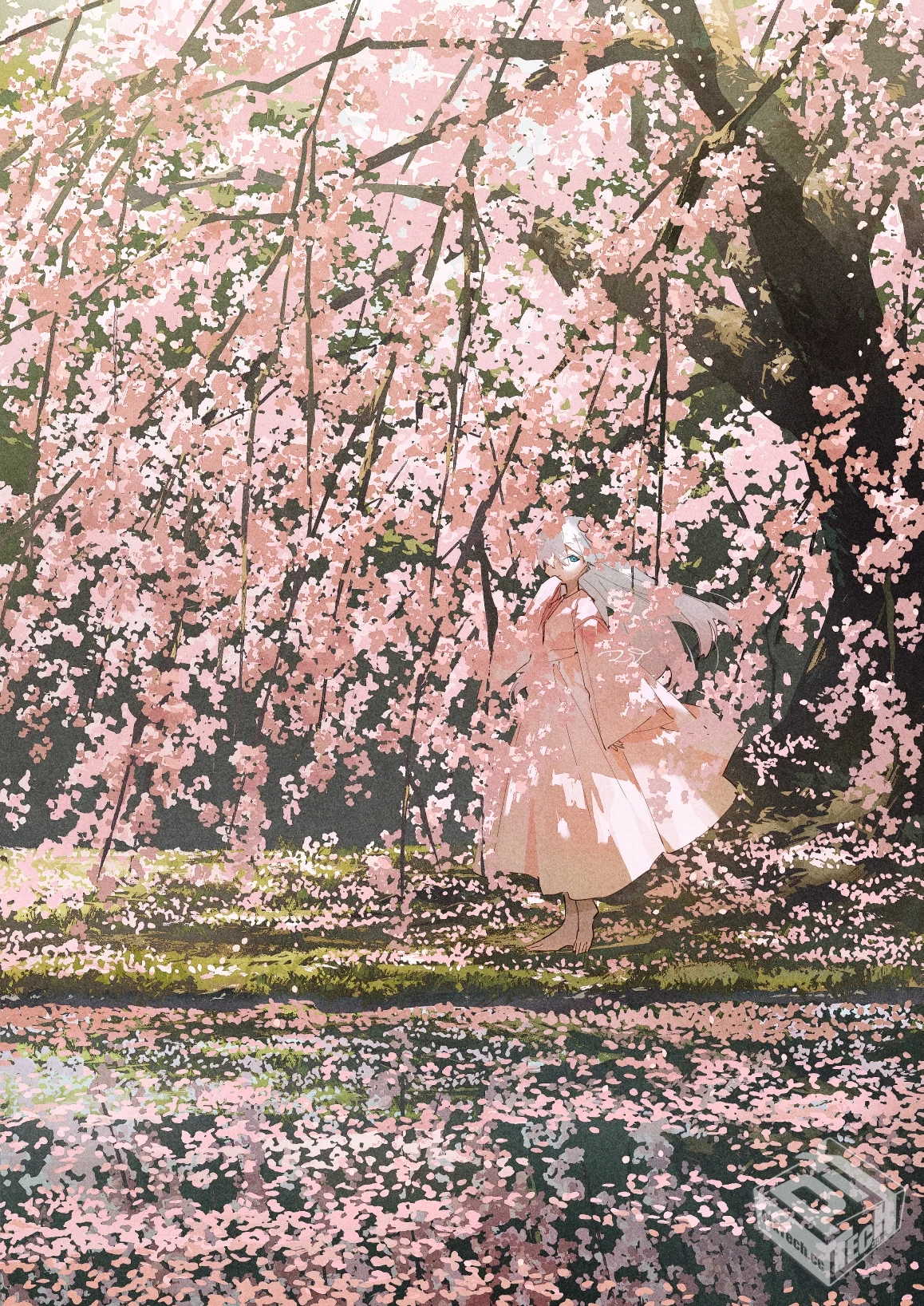 [pixiv] 综合今日排行榜 2025年5月30日...