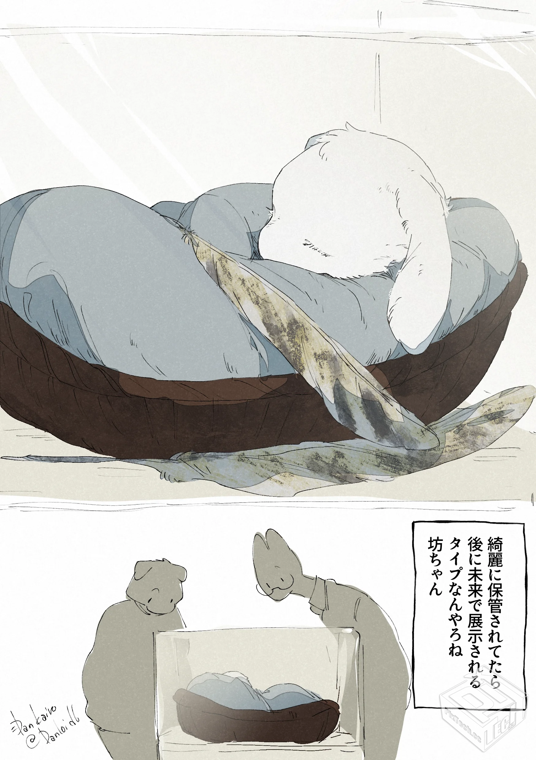 [pixiv] 综合今日排行榜 2025年5月27日...