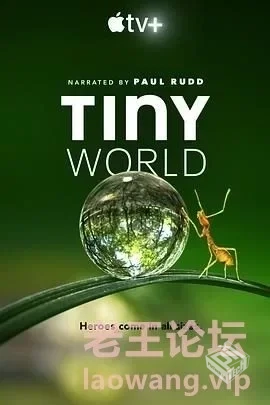 纪录片【小小世界】 S01【2020】 4K 中文字...