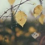 Bootstrap5下载与使用方法全解析新手也能快...